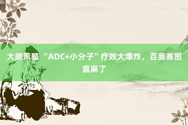 大旗策略 “ADC+小分子”疗效大爆炸，百奥赛图赢麻了
