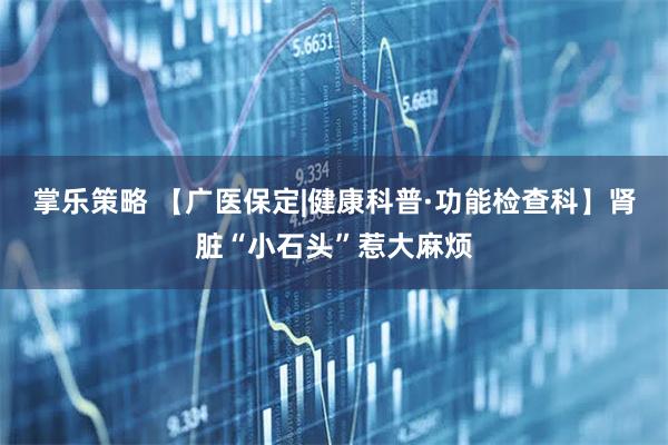 掌乐策略 【广医保定|健康科普·功能检查科】肾脏“小石头”惹大麻烦