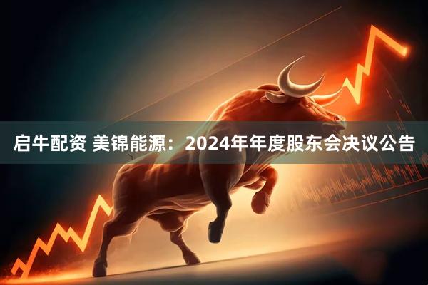 启牛配资 美锦能源：2024年年度股东会决议公告