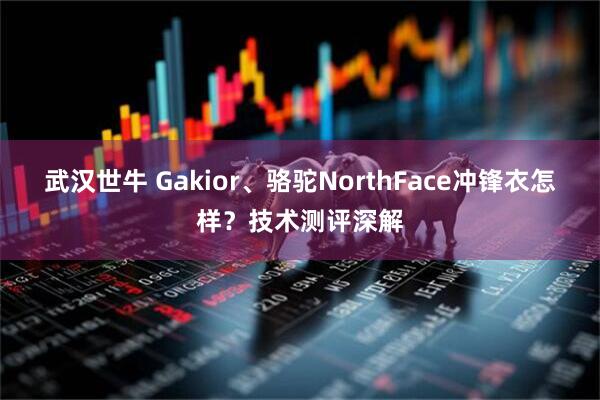 武汉世牛 Gakior、骆驼NorthFace冲锋衣怎样？技术测评深解