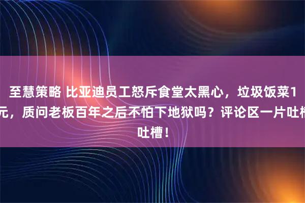 至慧策略 比亚迪员工怒斥食堂太黑心，垃圾饭菜15元，质问老板百年之后不怕下地狱吗？评论区一片吐槽！